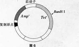 中学生物学科知识与教学能力,点睛提分卷,2021年教师资格证考试《生物学科知识与教学能力》（高级中学）点睛提分卷1