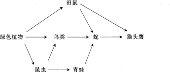 中学生物学科知识与教学能力,黑钻押题,2022年下半年教师资格《初中生物学科知识与教学能力》黑钻押题