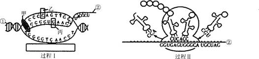 中学生物学科知识与教学能力,点睛提分卷,2021年教师资格证考试《生物学科知识与教学能力》（初级中学）点睛提分卷5