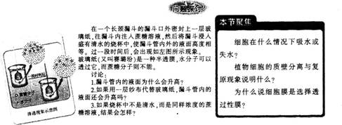 中学生物学科知识与教学能力,点睛提分卷,2021年教师资格证考试《生物学科知识与教学能力》（初级中学）点睛提分卷4