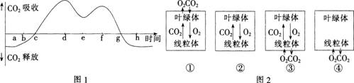 中学生物学科知识与教学能力,点睛提分卷,2021年教师资格证考试《生物学科知识与教学能力》（初级中学）点睛提分卷4