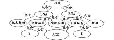 中学生物学科知识与教学能力,章节练习,中学生物学科知识与教学能力点睛