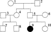 中学生物学科知识与教学能力,点睛提分卷,2021年教师资格证考试《生物学科知识与教学能力》（初级中学）点睛提分卷4