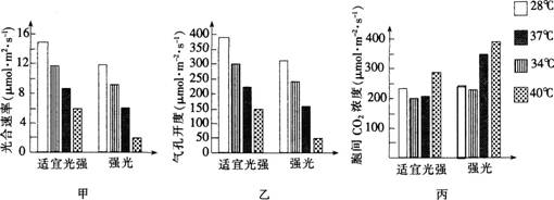 中学生物学科知识与教学能力,点睛提分卷,2021年教师资格证考试《生物学科知识与教学能力》（初级中学）点睛提分卷4