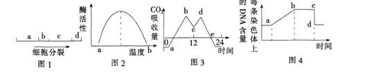 中学生物学科知识与教学能力,黑钻押题,2022年下半年教师资格《高中生物学科知识与教学能力》黑钻押题