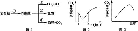 中学生物学科知识与教学能力,黑钻押题,2022年下半年教师资格《高中生物学科知识与教学能力》黑钻押题