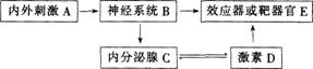 中学生物学科知识与教学能力,点睛提分卷,2021年教师资格证考试《生物学科知识与教学能力》（初级中学）点睛提分卷4