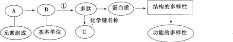 中学生物学科知识与教学能力,点睛提分卷,2021年教师资格证考试《生物学科知识与教学能力》（初级中学）点睛提分卷6