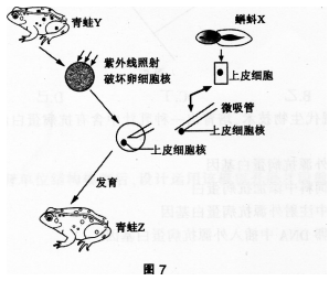 中学生物学科知识与教学能力,历年真题,2016年下半年教师资格证考试《生物学科知识与教学能力》（初级中学）真题