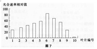 中学生物学科知识与教学能力,历年真题,2017年上半年教师资格证考试《生物学科知识与教学能力》（初级中学）真题