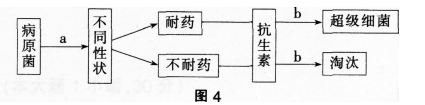 中学生物学科知识与教学能力,历年真题,2016年上半年教师资格证考试《生物学科知识与教学能力》（初级中学）真题