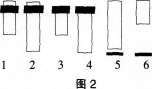 中学生物学科知识与教学能力,黑钻押题,2022年下半年教师资格《初中生物学科知识与教学能力》黑钻押题