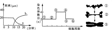 中学生物学科知识与教学能力,点睛提分卷,2021年教师资格证考试《生物学科知识与教学能力》（初级中学）点睛提分卷6