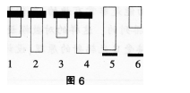 中学生物学科知识与教学能力,章节练习,基础复习,专项训练