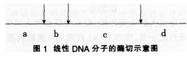 中学生物学科知识与教学能力,章节练习,基础复习,专项训练