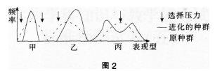 中学生物学科知识与教学能力,章节练习,基础复习,专项训练