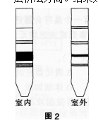 中学生物学科知识与教学能力,章节练习,基础复习,专项训练