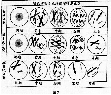 中学生物学科知识与教学能力,章节练习,基础复习,专项训练