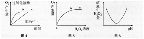 中学生物学科知识与教学能力,黑钻押题,2022年下半年教师资格《高中生物学科知识与教学能力》黑钻押题