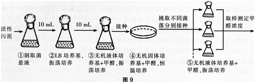 中学生物学科知识与教学能力,黑钻押题,2022年下半年教师资格《高中生物学科知识与教学能力》黑钻押题