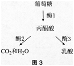 中学生物学科知识与教学能力,黑钻押题,2022年下半年教师资格《高中生物学科知识与教学能力》黑钻押题