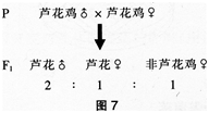 中学生物学科知识与教学能力,章节练习,基础复习,专项训练