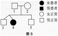 中学生物学科知识与教学能力,章节练习,基础复习,专项训练