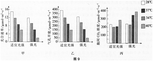 中学生物学科知识与教学能力,章节练习,基础复习,专项训练