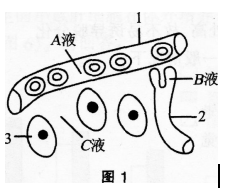 中学生物学科知识与教学能力,章节练习,基础复习,专项训练