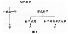 中学生物学科知识与教学能力,章节练习,基础复习,专项训练