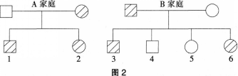 中学生物学科知识与教学能力,预测试卷,2021年教师资格证考试《生物学科知识与教学能力》（高级中学）名师预测卷1