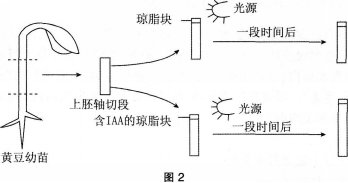 中学生物学科知识与教学能力,模拟考试,2021年教师资格证考试《生物学科知识与教学能力》（高级中学）模拟试卷1