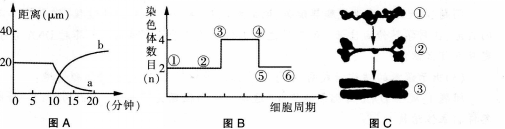 中学生物学科知识与教学能力,模拟考试,2021年教师资格证考试《生物学科知识与教学能力》（高级中学）模拟试卷3