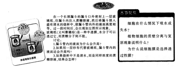 中学生物学科知识与教学能力,模拟考试,2021年教师资格证考试《生物学科知识与教学能力》（高级中学）模拟试卷4