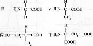 中学生物学科知识与教学能力,模拟考试,2021年教师资格证考试《生物学科知识与教学能力》（高级中学）模拟试卷2