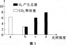 中学生物学科知识与教学能力,模拟考试,2021年教师资格证考试《生物学科知识与教学能力》（高级中学）模拟试卷2