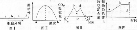 中学生物学科知识与教学能力,模拟考试,2021年教师资格证考试《生物学科知识与教学能力》（高级中学）模拟试卷2