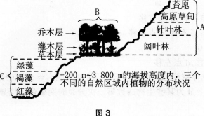 中学生物学科知识与教学能力,模拟考试,2021年教师资格证考试《生物学科知识与教学能力》（高级中学）模拟试卷2