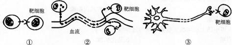 中学生物学科知识与教学能力,预测试卷,2021年教师资格证考试《生物学科知识与教学能力》（高级中学）名师预测卷2