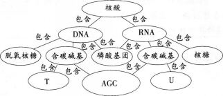 中学生物学科知识与教学能力,预测试卷,2021年教师资格证考试《生物学科知识与教学能力》（高级中学）名师预测卷2