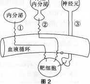 中学生物学科知识与教学能力,模拟考试,2021年教师资格证考试《生物学科知识与教学能力》（高级中学）模拟试卷3