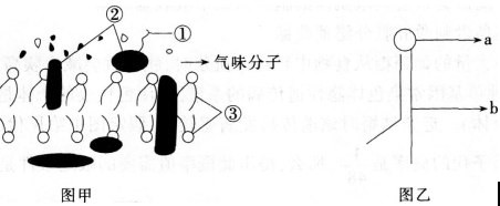 中学生物学科知识与教学能力,预测试卷,2021年教师资格证考试《生物学科知识与教学能力》（高级中学）名师预测卷4