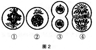 中学生物学科知识与教学能力,预测试卷,2021年教师资格证考试《生物学科知识与教学能力》（高级中学）名师预测卷4