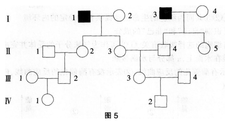 中学生物学科知识与教学能力,预测试卷,2021年教师资格证考试《生物学科知识与教学能力》（高级中学）名师预测卷4