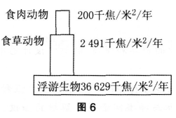 中学生物学科知识与教学能力,预测试卷,2021年教师资格证考试《生物学科知识与教学能力》（高级中学）名师预测卷4