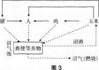 中学生物学科知识与教学能力,模拟考试,2021年教师资格证考试《生物学科知识与教学能力》（初级中学）模拟试卷3