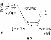 中学生物学科知识与教学能力,预测试卷,2021年教师资格证考试《生物学科知识与教学能力》（初级中学）名师预测卷1