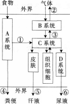 中学生物学科知识与教学能力,预测试卷,2021年教师资格证考试《生物学科知识与教学能力》（初级中学）名师预测卷1