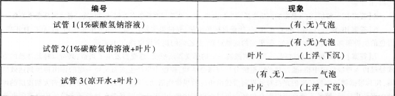 中学生物学科知识与教学能力,模拟考试,2021年教师资格证考试《生物学科知识与教学能力》（初级中学）模拟试卷1