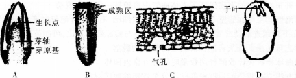 中学生物学科知识与教学能力,预测试卷,2021年教师资格证考试《生物学科知识与教学能力》（初级中学）名师预测卷3